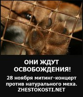 Митинг против убийства животных ради меха - 28 ноября
