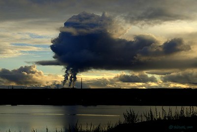 Сохранение климата: предложения петербургских НГО